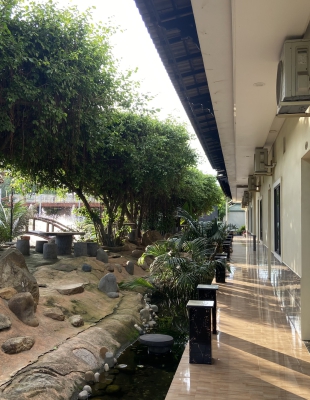 Không gian xanh mát bao bọc khu phòng nghỉ dưỡng